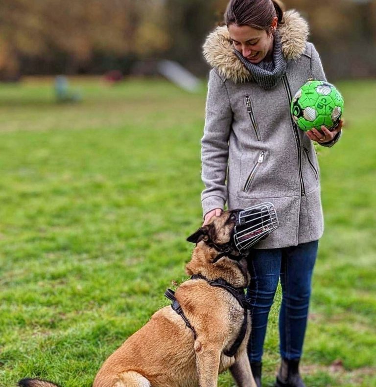 educateur canin nantes malinois